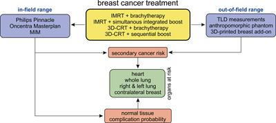 Comparison of Breast Cancer Radiotherapy Techniques Regarding Secondary Cancer Risk and Normal Tissue Complication Probability – Modelling and Measurements Using a 3D-Printed Phantom